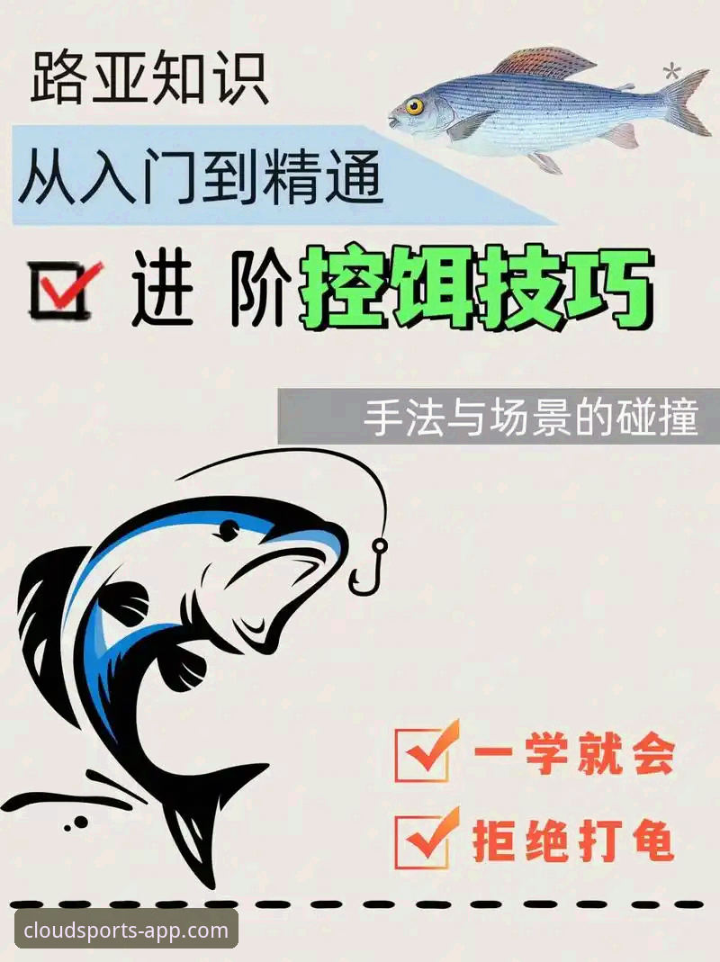 云体育平台完整使用指南：从入门到精通2026新版全攻略